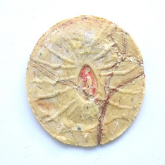 Alison Sellars