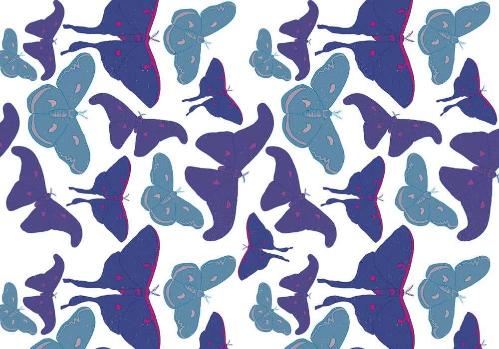 moth Pattern
